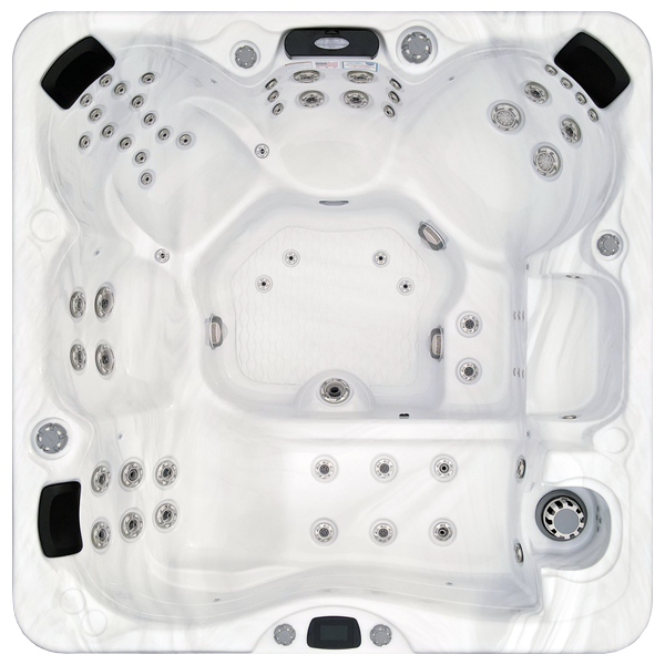 Avalon-X EC-867LX hot tubs for sale in Erie