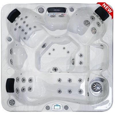 Avalon-X EC-849LX hot tubs for sale in Erie